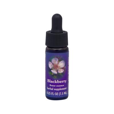 FES Organic Quintessentials Flower Essence Blackberry 7.5ml